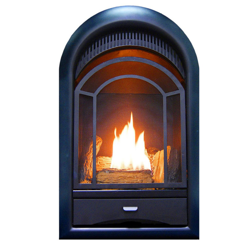 Heating Arched Door Vent Free Propane/Natural Gas Fireplace